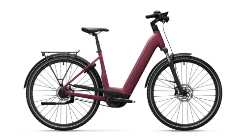 E-Stadtrad ADVANCED EBIKE TOUR Pro 750 RBN 5G Gates 2024 | 750 Wh | 28 Zoll | Tiefeinsteiger
