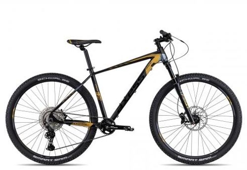 Trail Bike Axess PRIDE 2025 | 29 Zoll | Diamant