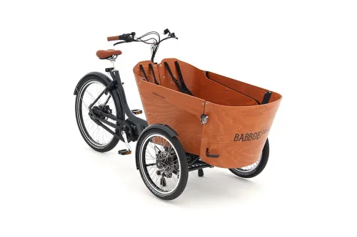 E Lastenrad Babboe Carve Mountain 2026 | 500 Wh | 26 Zoll | Sonstige