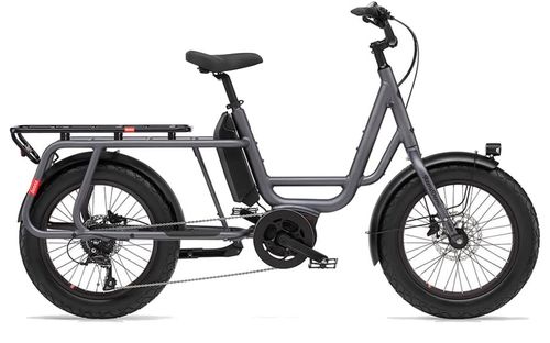 E Lastenrad Benno Bikes RemiDemi 9D XL 2024 | 545 Wh | 20 Zoll | Sonstige