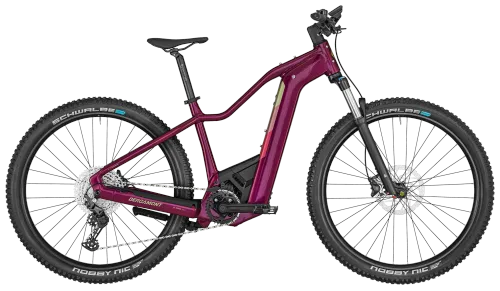 E-Trailbike Bergamont E-Revox Pro FMN 2023 | 750 Wh | 29 Zoll | Tiefeinsteiger