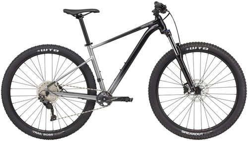 Trail Bike Cannondale Trail SE 4 2021 | 29 Zoll | Diamant