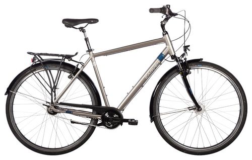 Urban Bike Carver Cityzen 110 2024 | 28 Zoll | Diamant