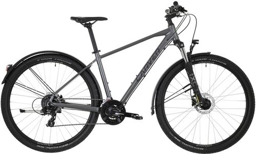 Crossbike Carver Strict 120 Street 2024 | 29 Zoll | Diamant