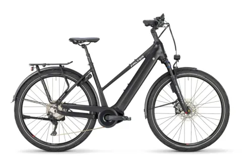 E-Bike Tourenrad FALTER E 10.0 2025 | 750 Wh | 28 Zoll | Trapez