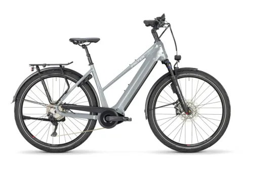 E-Bike Tourenrad FALTER E 6.0 2024 | 500 Wh | 28 Zoll | Trapez