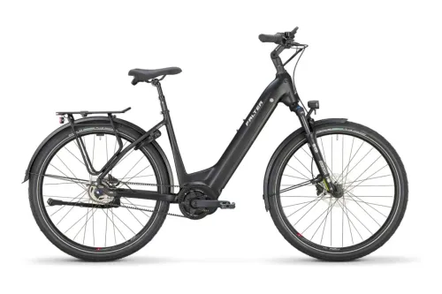 E-Stadtrad FALTER E 9.4 SE FL 2025 | 625 Wh | 28 Zoll | Tiefeinsteiger
