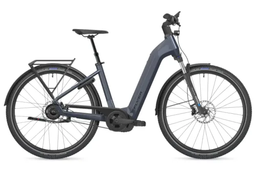 Urban E-Bike FLYER Gotour 5.43 CX 2025 | 750 Wh | 29 Zoll | Tiefeinsteiger