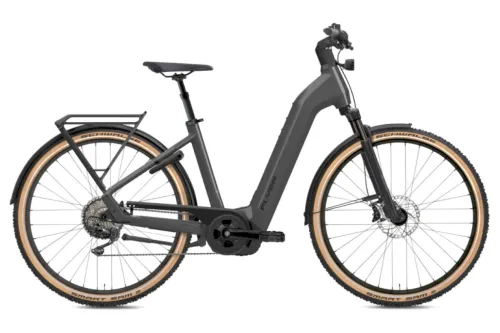 E-Bike Tourenrad FLYER Gotour 7.12 XC 2024 | 750 Wh | 28 Zoll | Tiefeinsteiger