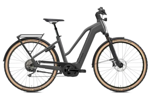 E-Bike Tourenrad FLYER Gotour 7.12 XC 2024 | 750 Wh | 28 Zoll | Trapez
