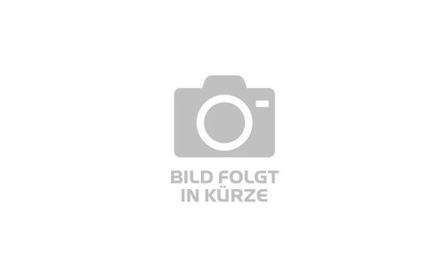 E-Allmountain MTB Focus THRON² 6.9 2024 | 625 Wh | 29 Zoll | Diamant