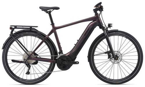 E-Bike Reiserad GIANT Explore E+ Pro 1 2022 | 625 Wh | 28 Zoll | Diamant