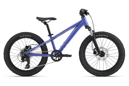 Kinderfahrrad 20 Zoll GIANT STP 20 FS V2 2025 | 20 Zoll | Diamant