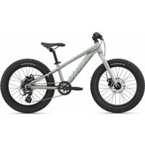 Kinderfahrrad 20 Zoll GIANT STP 20 GIANT 2022 | 20 Zoll | Diamant