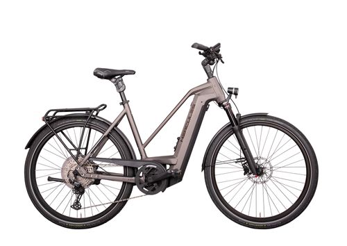 E-Bike Tourenrad Hercules Futura Max I-12 2022