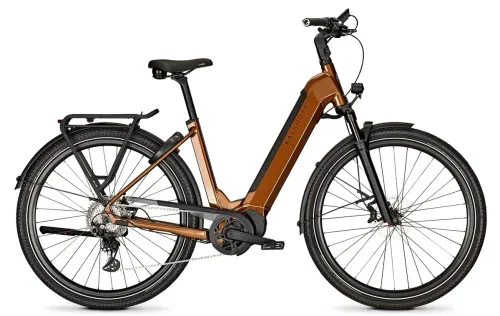E-Bike Tourenrad Kalkhoff Endeavour 5 Advance + 2025 | 625 Wh | 29 Zoll | Tiefeinsteiger