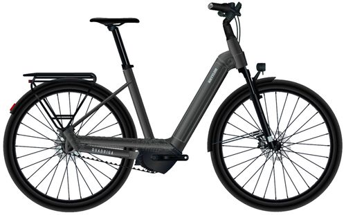 E-Stadtrad Kettler QUADRIGA CX5 HD BENELUX BELT F 2023