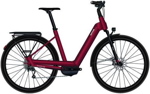 E Crossbike Kettler QUADRIGA TOWN & COUNTRY CX10 L 2023
