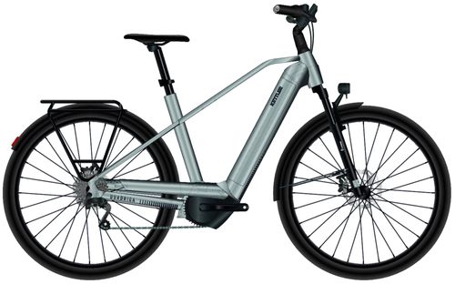 E Crossbike Kettler QUADRIGA TOWN & COUNTRY P10 2023