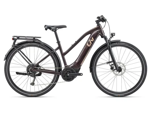 E-Bike Tourenrad Liv Amiti-E+ 2 2022 | 500 Wh | 28 Zoll | Trapez