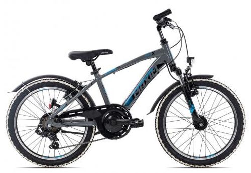 Kinderfahrrad 20 Zoll Maxim Sporty 7 20 2024 | 20 Zoll | Diamant