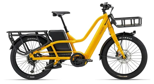 E Lastenrad Momentum PakYak E+ 2024 | 500 Wh | 24 Zoll | Trapez