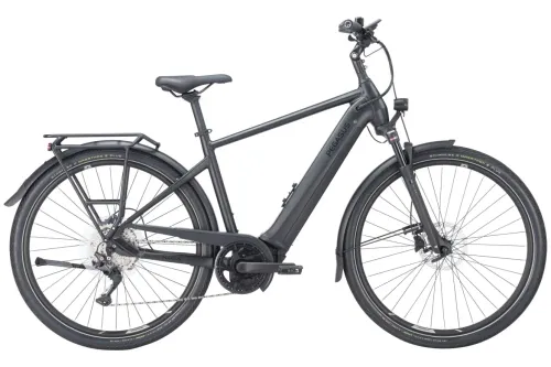 E-Bike Tourenrad Pegasus Premio EVO 10 Lite 2023 | 600 Wh | 28 Zoll | Diamant