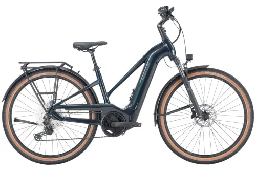 E-Bike Tourenrad Pegasus Savino EVO 12 Lite 2023 | 750 Wh | 28 Zoll | Trapez