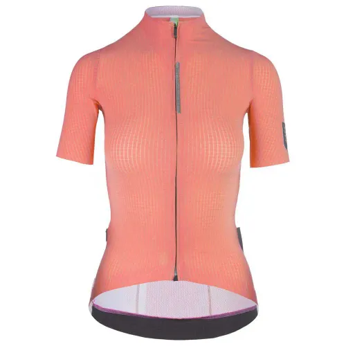 Fahrradtrikots kurzarm Q36.5 Pinstripe PRO