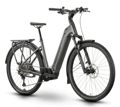E-Bike Tourenrad R Raymon Tahona Ultra 800 2025 | 800 Wh | 29 Zoll | Tiefeinsteiger
