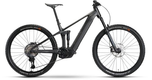 E-Allmountain MTB RAYMON Korak Ultra 2026 | 800 Wh | 29 Zoll | Diamant