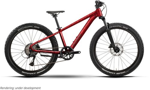 Kinderfahrrad 24 Zoll RAYMON Nayta 24 Pro 24 2026 | 24 Zoll | Diamant