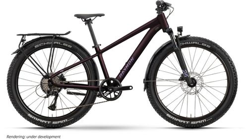 Jugendfahrrad 26 Zoll RAYMON Nayta 26 Pro Street 2026 | 26 Zoll | Diamant