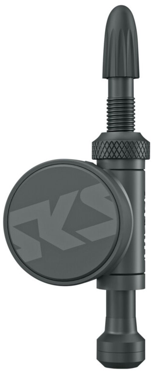 Sonstige Fahrradpumpen SKS Germany AIRSPY TL SET STANDARD 2023