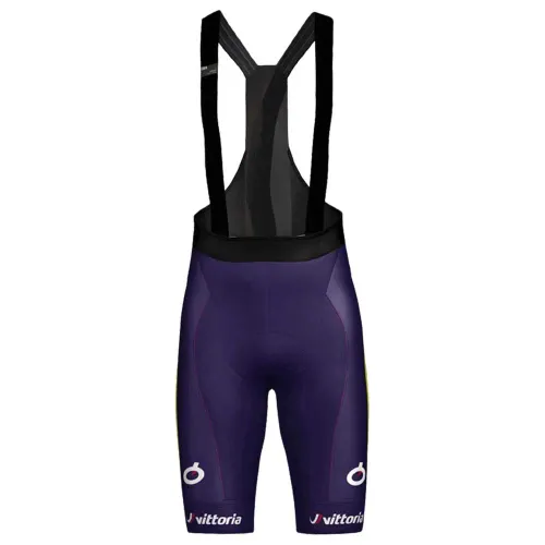 MTB Shorts Wilier Vittoria kurze Hose