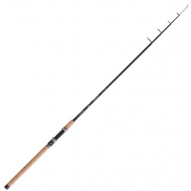 Spinnruten Balzer Diabolo Golden Circle Tele 25