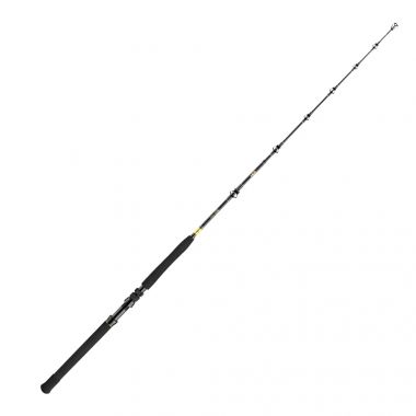 Daiwa BG Big Game