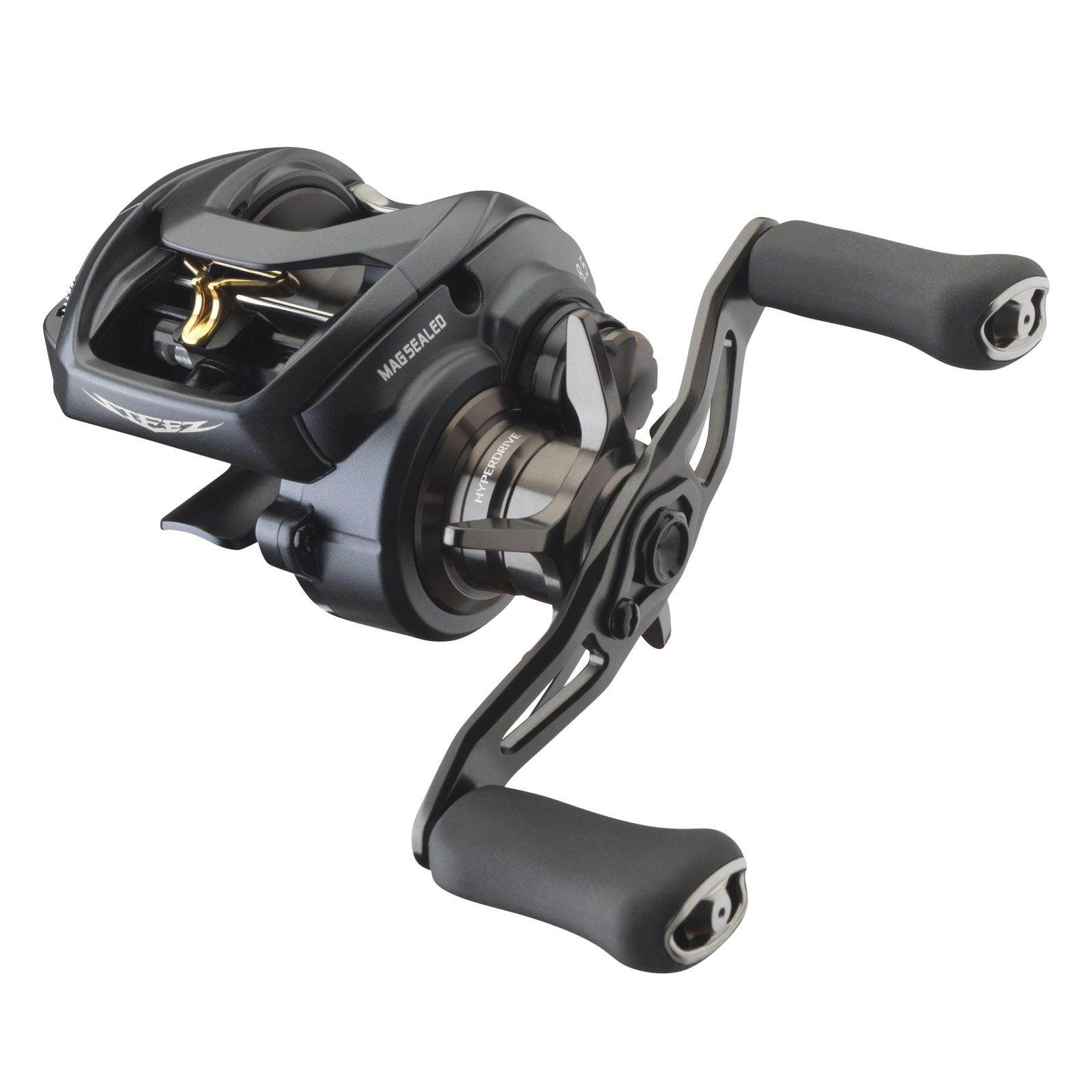 Daiwa STEEZ A II TW Baitcastrolle