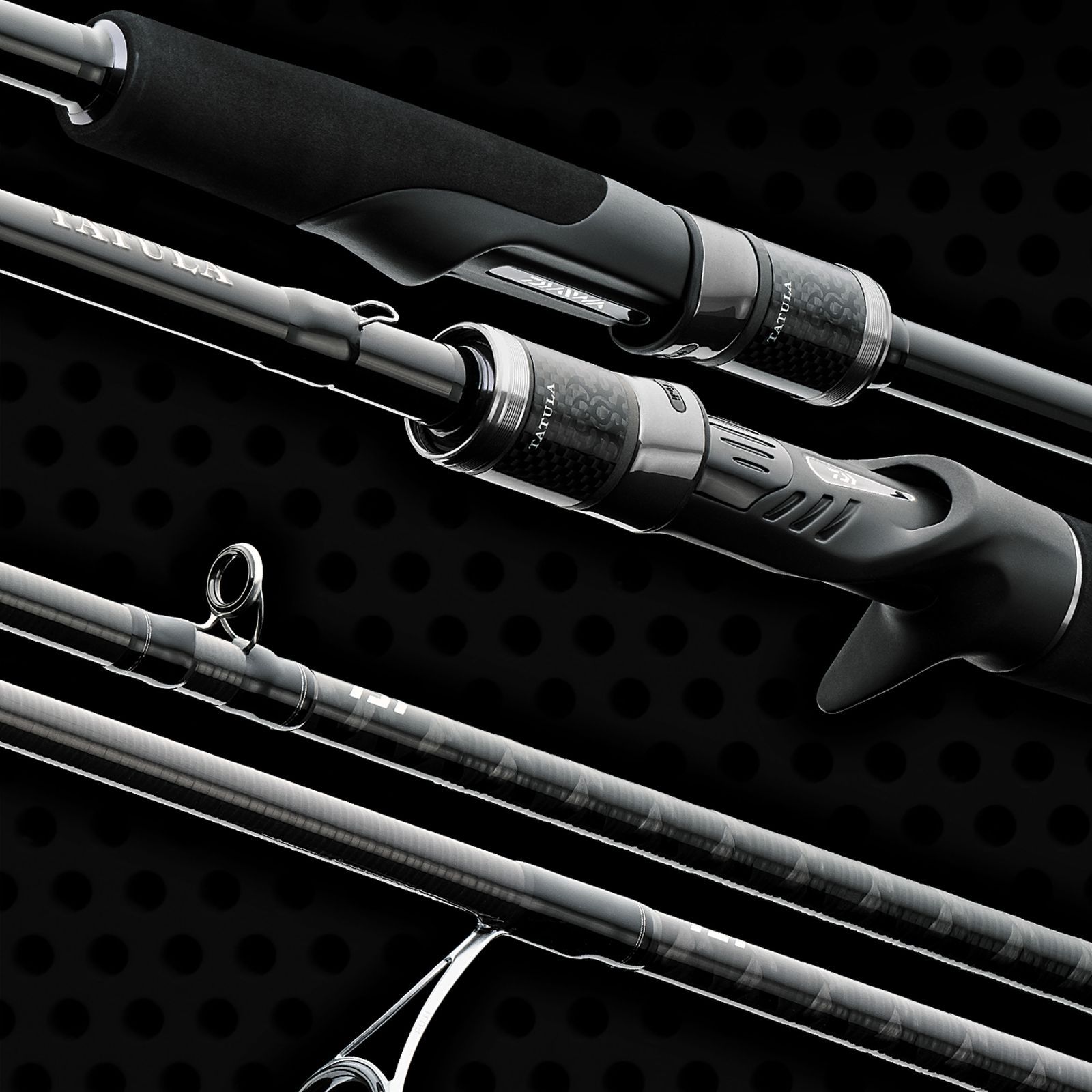 Daiwa Tatula XT Baitcastrute