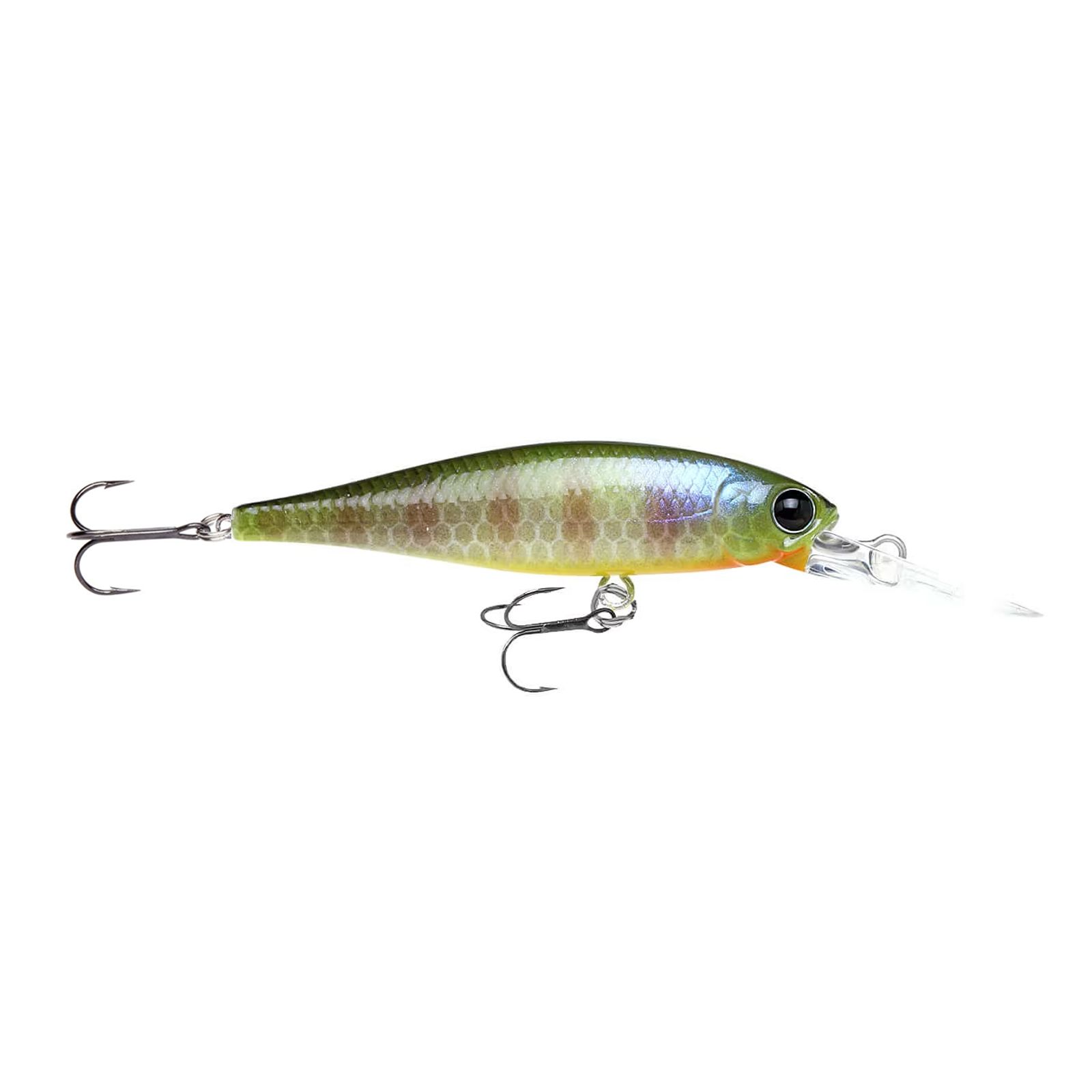 Lucky Craft Pointer DD Japan
