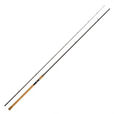 WFT Forellenrute Lake N River Trout