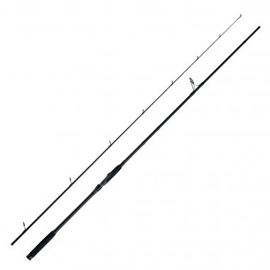 WFT Spinnrute Shad Control