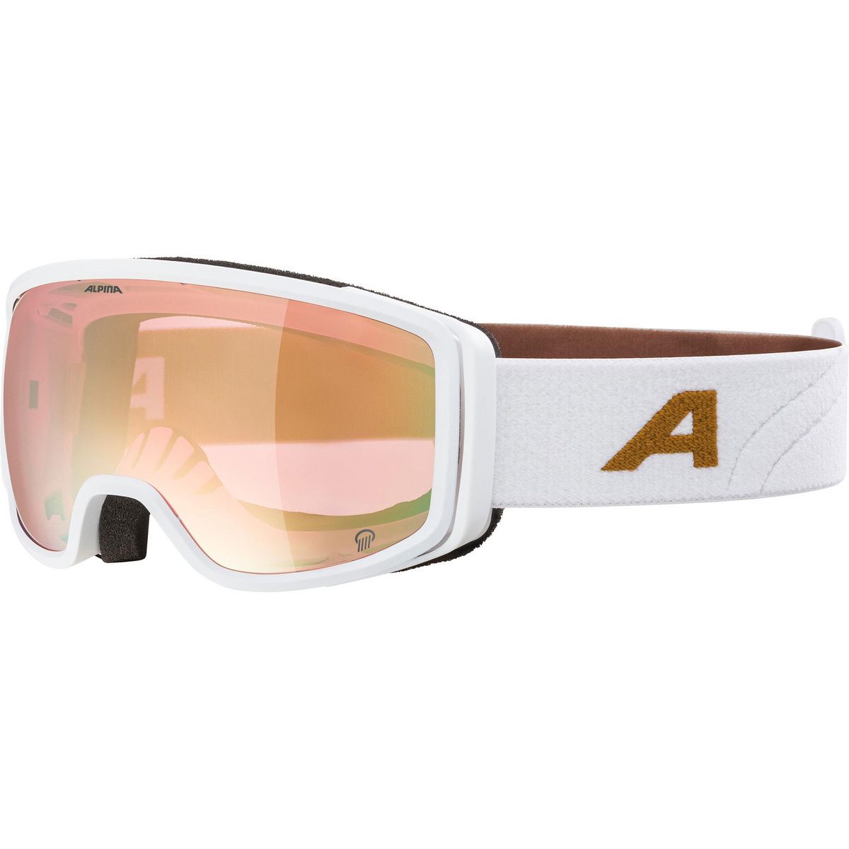 Alpina Alpina Bivio Q Skibrille (Bild 1)