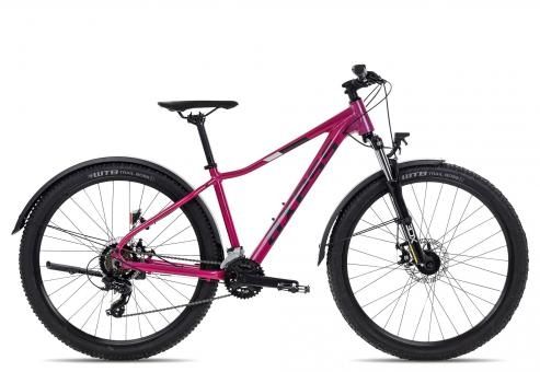 Axess Axess MEEA ATB 2022 | 29 Zoll | Diamant (Bild 1)