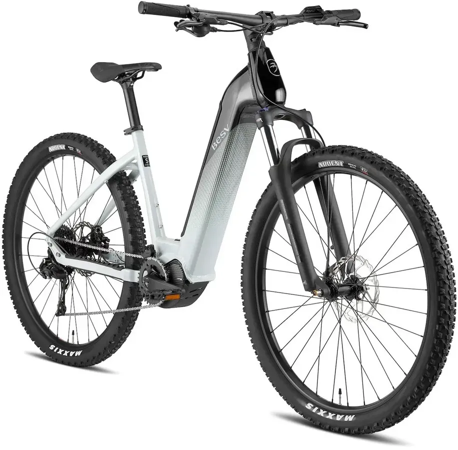 BESV BESV TRX 1.5 LS 2025 | 504 Wh | 29 Zoll | Tiefeinsteiger (Bild 1)