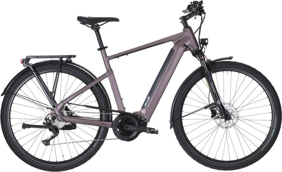 Carver Carver Route E.520 2025 | 625 Wh | 28 Zoll | Diamant (Bild 1)