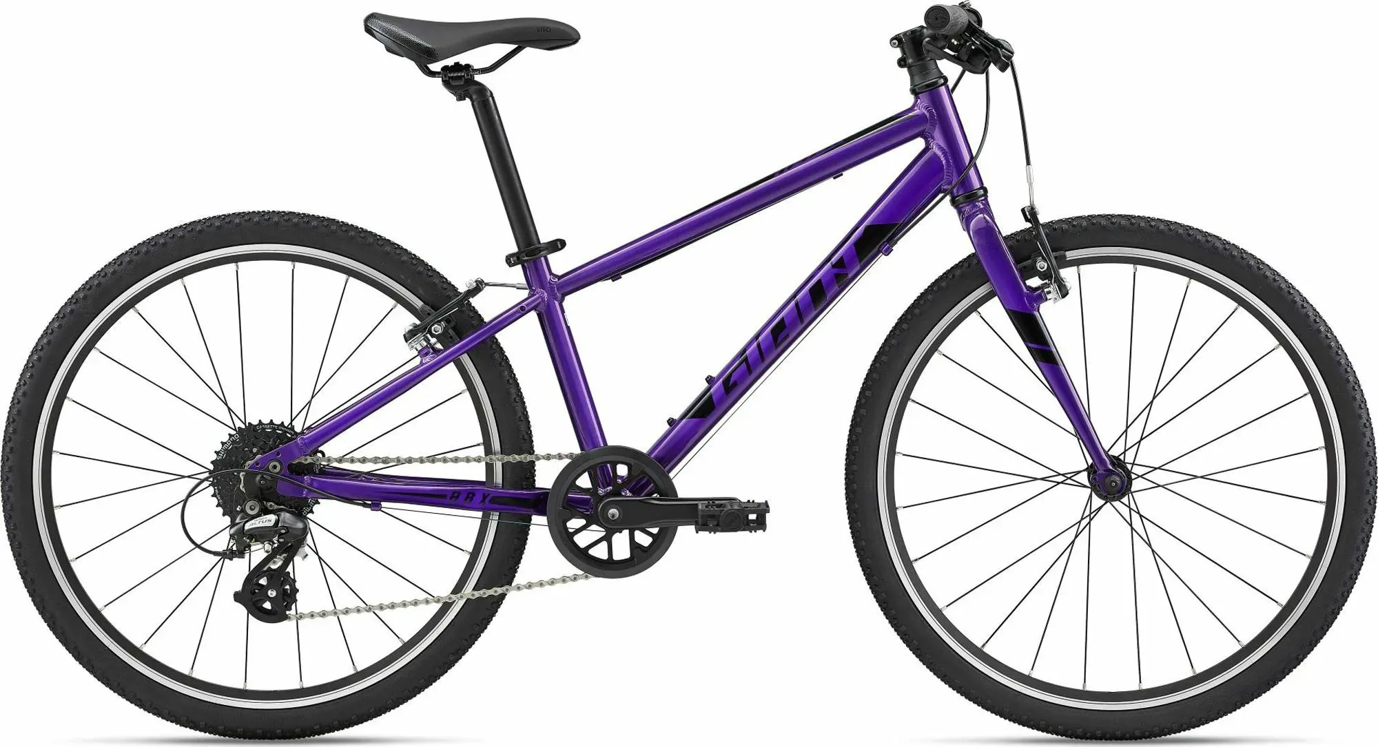 GIANT GIANT ARX 2023 | 24 Zoll | Diamant (Bild 1)