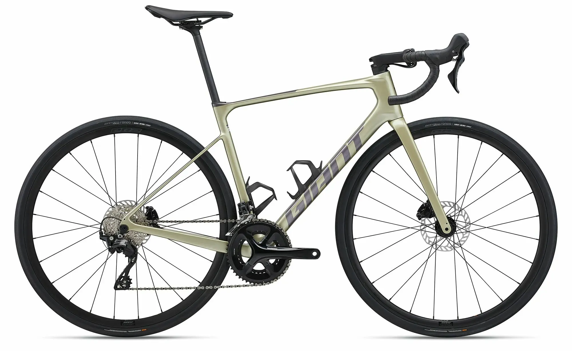 GIANT GIANT Defy Advanced 2 2024 | 28 Zoll | Diamant (Bild 1)