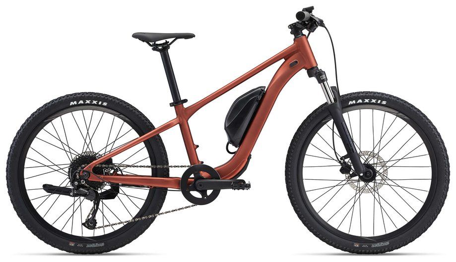 GIANT GIANT Talon E+ jr. 24 2025 | 250 Wh | 24 Zoll | Diamant (Bild 1)