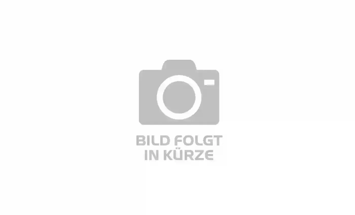 KTM KTM Macina Silence 2025 | 500 Wh | 28 Zoll | Tiefeinsteiger (Bild 1)